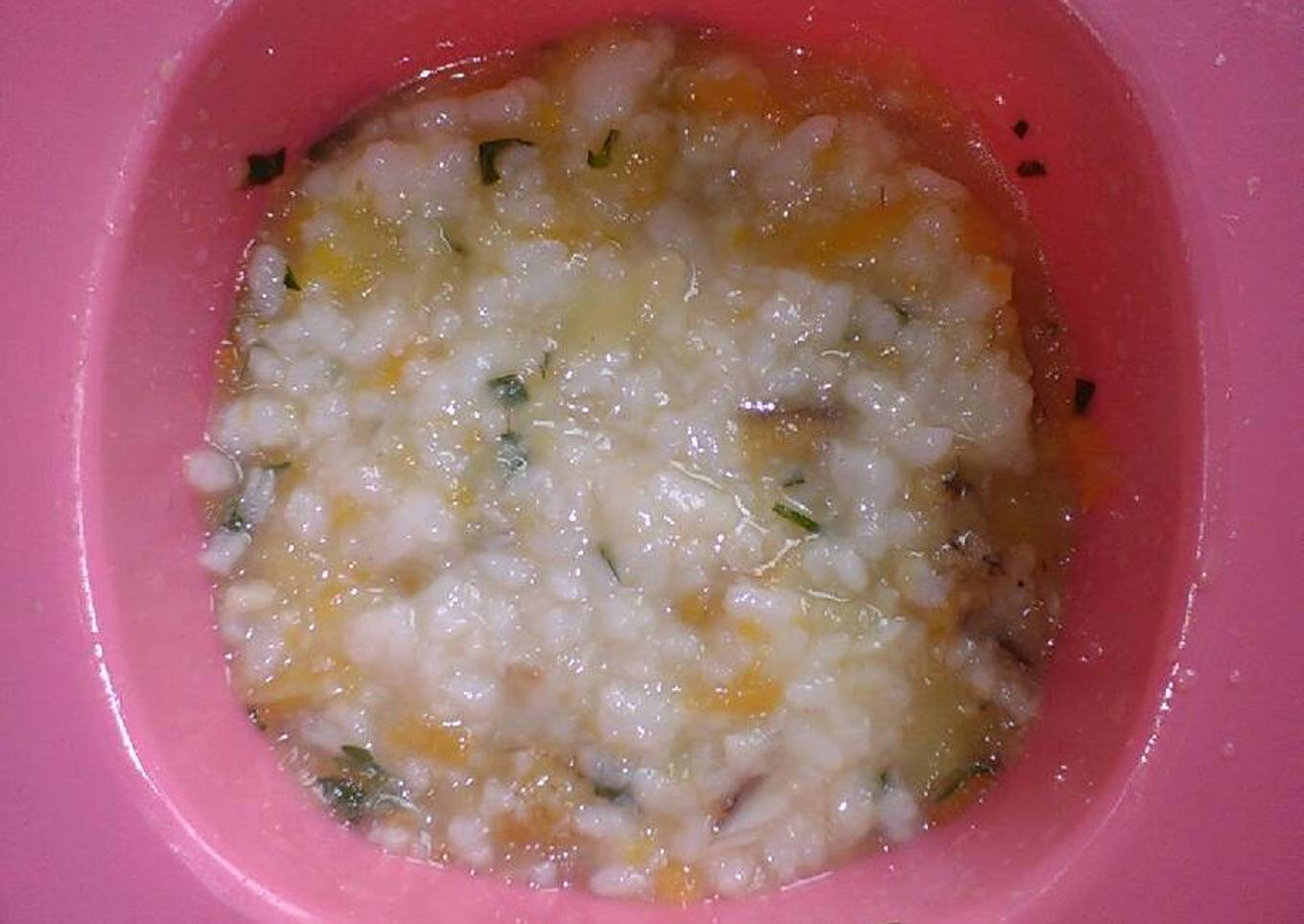 Mpasi 9m+ sup ayam wortel