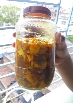 A picture of Mango pickle in 2 days.
