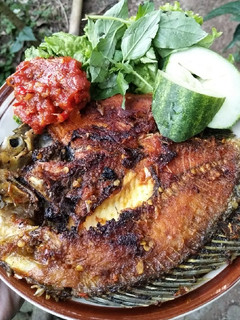 Foto resep Ikan bakar sambal terasi