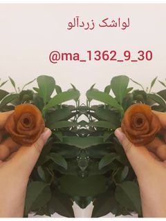 عکسی از دستور لواشک زردآلو