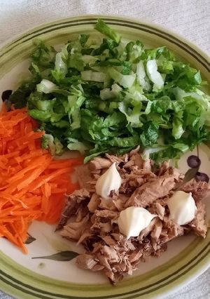 Una foto de Ensalada LEZAJU 😏