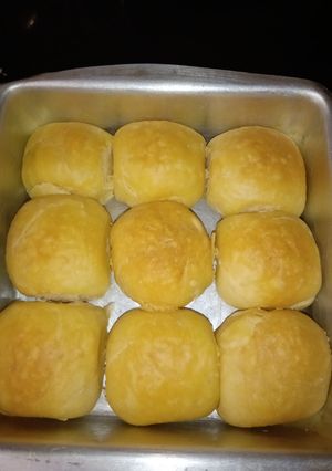 A picture of Ladi pav.