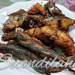 รูปของ Ikan Palumara & Goreng Resap