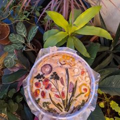 A picture of Focaccia garden recipe.