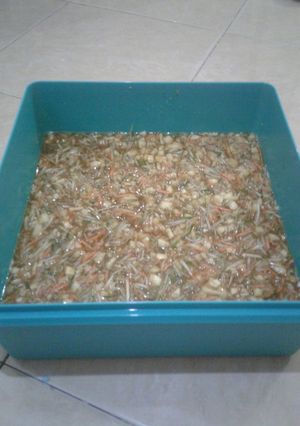 Foto resep Rujak serut