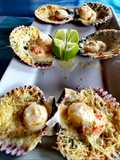 Conchitas a la parmesana