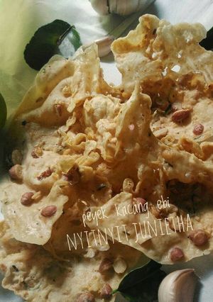 Foto resep Peyek kacang ebi
