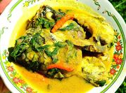 Gambar kepala ikan tenggiri