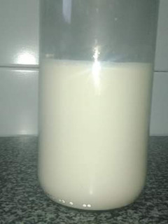 Una foto de Leche evaporada casera