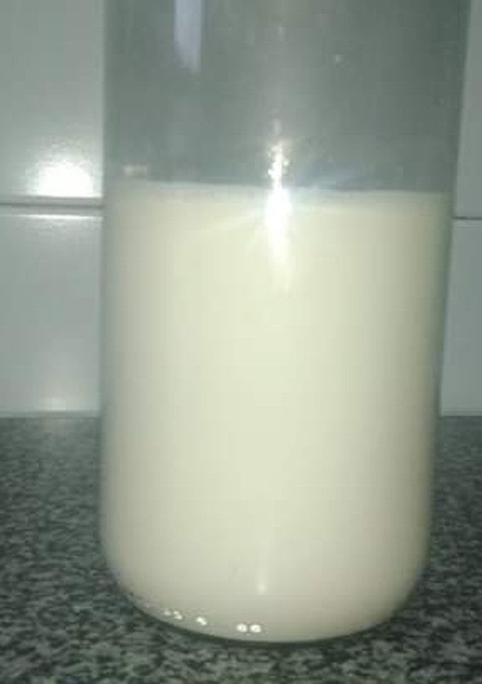 Una foto de Leche evaporada casera