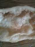 Hojaldre panameña (hojaldra)