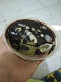 Bronkat (brownis alpukat) bahan instan