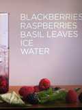 Infusión frutos silvestres