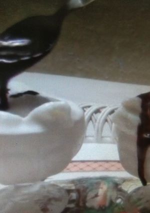 A picture of Vanilla Ice cream.