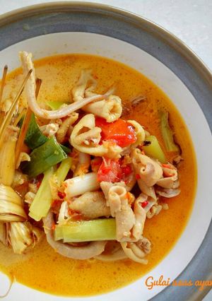 Foto resep Gulai usus ayam