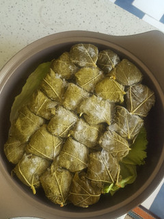 عکسی از دستور دلمه برگ مو