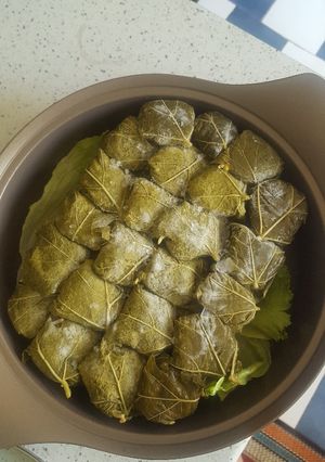 عکسی از دستور دلمه برگ مو