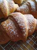 Croissant Brioche