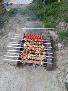 عکسی از دستور جوجه کباب