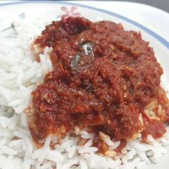 A picture of Boiled rice and stew.
