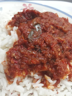 A picture of Boiled rice and stew.