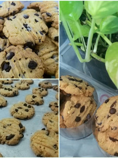 Foto resep Lemon zest & choco chips cookies