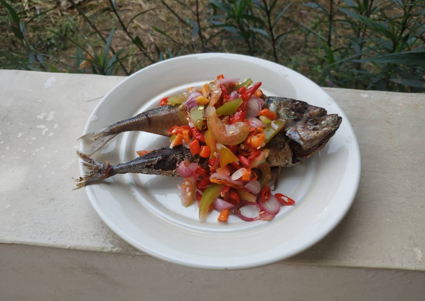 Ikan kembung layang dabu-dabu