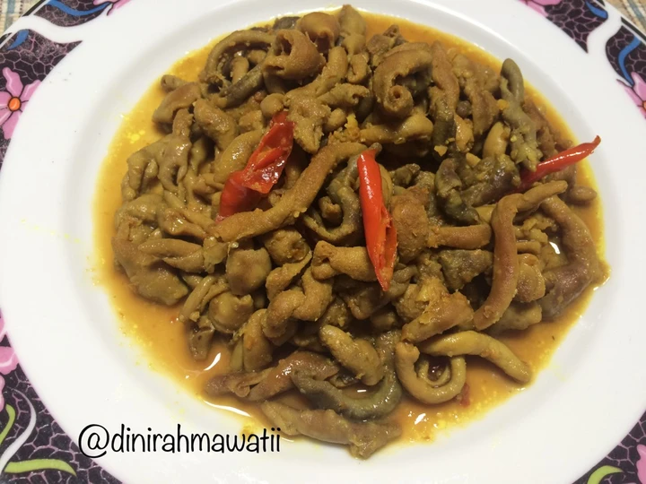Cara Mudah Membuat Resep Usus Ayam Bumbu Kuning yang Lezat Sekali Anti Ribet, Bisa Manjain Lidah