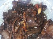 Gambar usus sapi dan paru