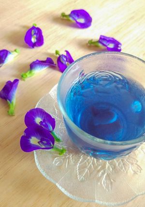 Foto resep Teh bunga telang