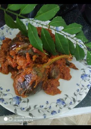 मसालेदार भरवा बैंगन (masaledar bharwa baingan recipe in Hindi) रेसिपी मुख्य फोटो