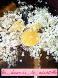 Limonade aux fleurs de sureau
