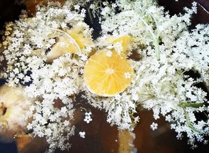 Une photo de Limonade aux fleurs de sureau