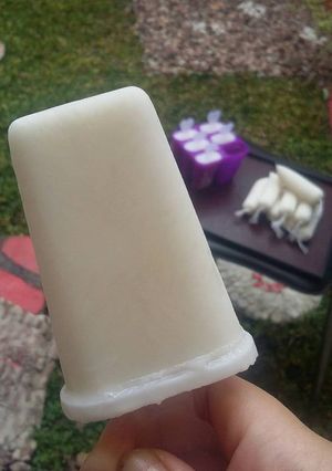 Foto resep Homemade popsicle es jadul