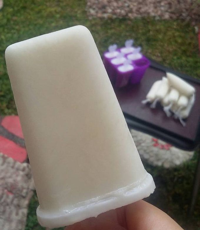 Foto resep Homemade popsicle es jadul