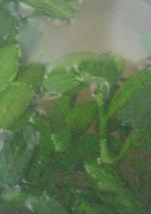 Una foto de Infusión de ruda, limón y miel
