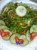 Kwadon lansir