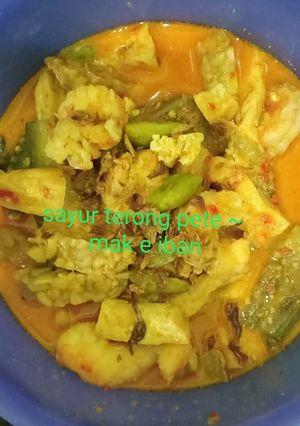 Foto resep Sayur Terong Pete