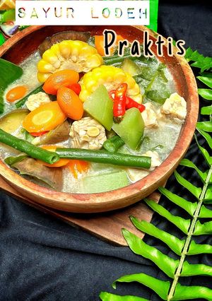 Foto resep Sayur Lodeh 예르다🥗