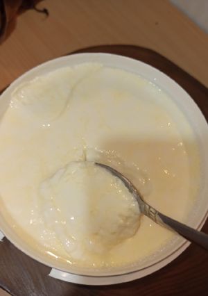 عکسی از دستور ماست خونگی