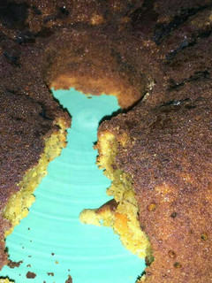 Una foto de Budín de zanahoria con búlgaros o kéfir.ॐ
