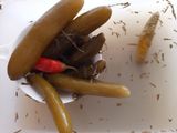 خیارشور خونگی : نکته هاش
