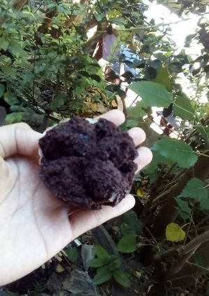 Foto resep Bolu kukus eggless