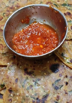 દૂધી અને મેથી ના થેપલા (Dudhi Methi Thepla Recipe In Gujarati) રેસીપી મુખ્ય ફોટો