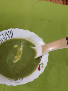 A picture of Garden fresh spinach soup.