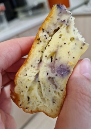 O poză a rețetei Budincă de Ricotta cu Afine.