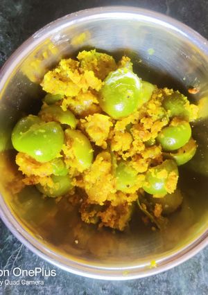 A picture of Gumberry (gunda) Sambaro.