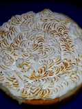 Crostata con crema al limone e meringa italiana