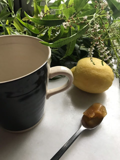 Una foto de Infusión de María Luisa, para una buena digestión