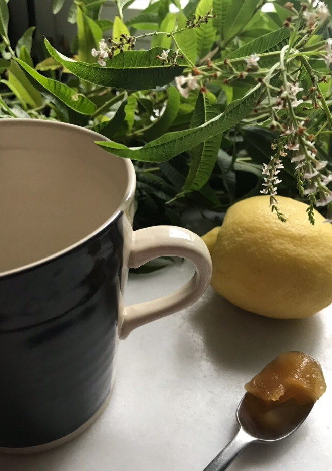 Una foto de Infusión de María Luisa, para una buena digestión